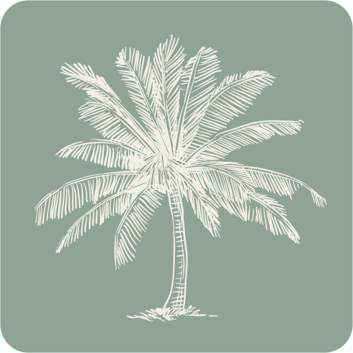 Hand-drawn palm tree illustration on a muted blue-green background, evoking tropical destination weddings.
